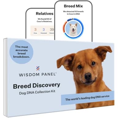 Wisdom Panel Dog DNA Test Kit